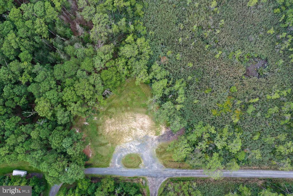 30371 Marumsco Road Marion Station, MD 21838 - Photo 8 of 16