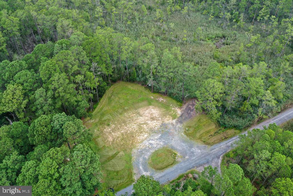 30371 Marumsco Road Marion Station, MD 21838 - Photo 9 of 16