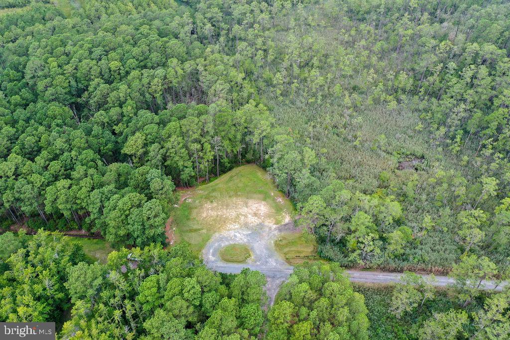 30371 Marumsco Road Marion Station, MD 21838 - Photo 10 of 16