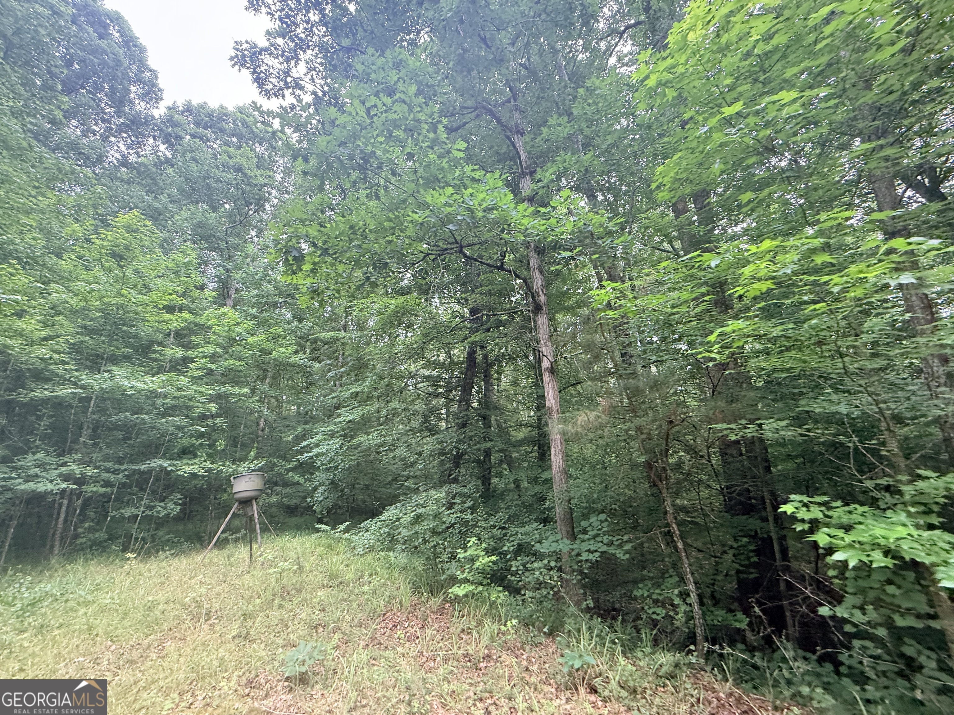 3 Bethesda Church Road Lexington, GA 30648 - Photo 24 of 60
