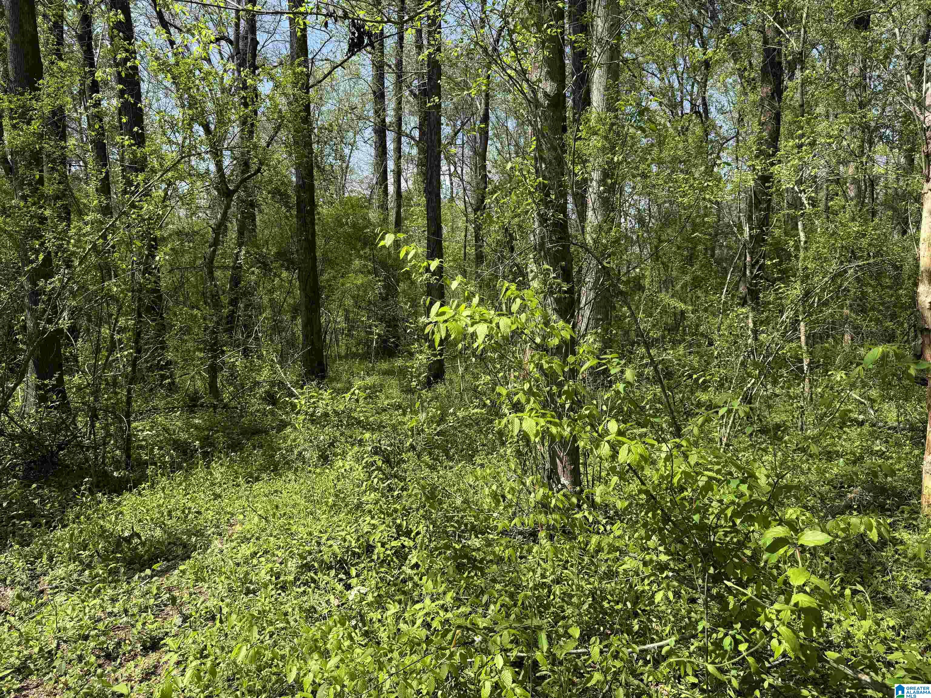 1781 Riverview Beach Road, Unit 1781 Moundville, AL 35474 - Photo 20 of 27