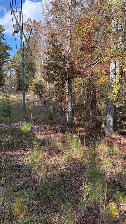 618 South Steel Bridge Road Eatonton, GA 31024 - Photo 12 of 20 a view of a lake view