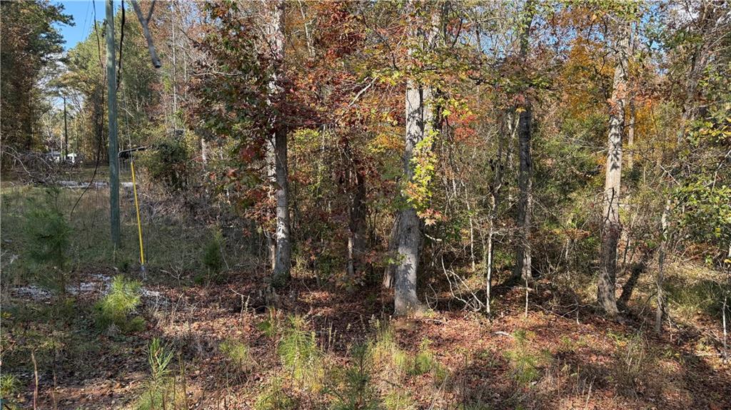 618 South Steel Bridge Road Eatonton, GA 31024 - Photo 13 of 20 a view of a forest with trees in the background