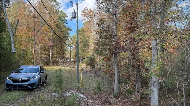 a view of dirt yard with large trees