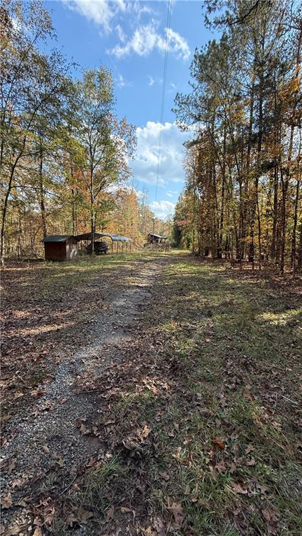 618 South Steel Bridge Road Eatonton, GA 31024 - Photo 15 of 20 a view of dirt yard with large trees