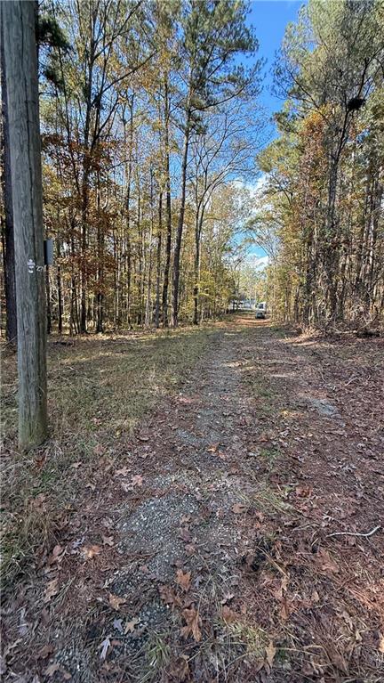 618 South Steel Bridge Road Eatonton, GA 31024 - Photo 19 of 20 a view of dirt yard with trees