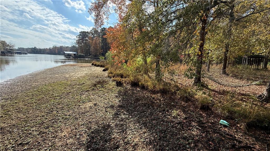 618 South Steel Bridge Road Eatonton, GA 31024 - Photo 10 of 20 a view of a lake with houses