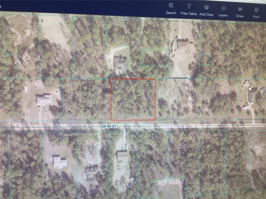 0 Southwest 80th Street Dunnellon, FL 34432 - Photo 3 of 5