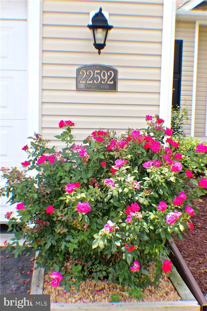 22592 Ramble Road Lewes, DE 19958 - Photo 2 of 41 Gallery Image 2