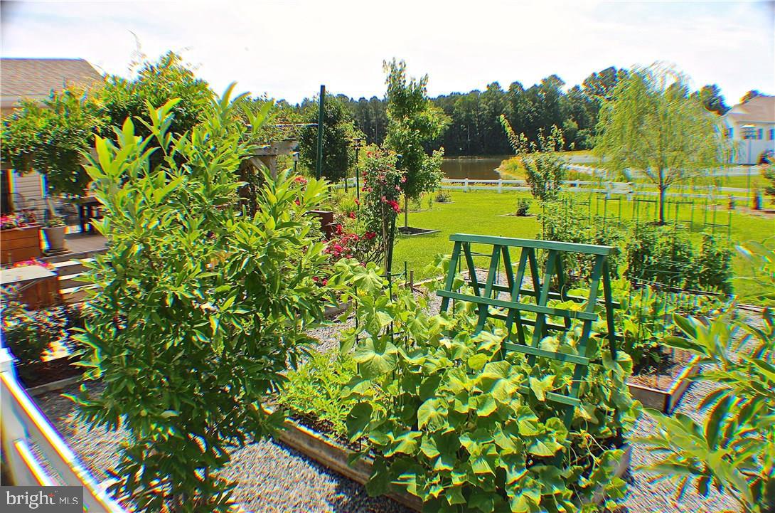 22592 Ramble Road Lewes, DE 19958 - Photo 35 of 41 Gallery Image 35