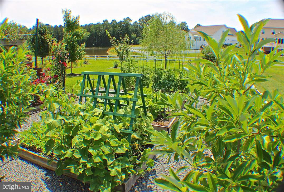 22592 Ramble Road Lewes, DE 19958 - Photo 36 of 41 Gallery Image 36