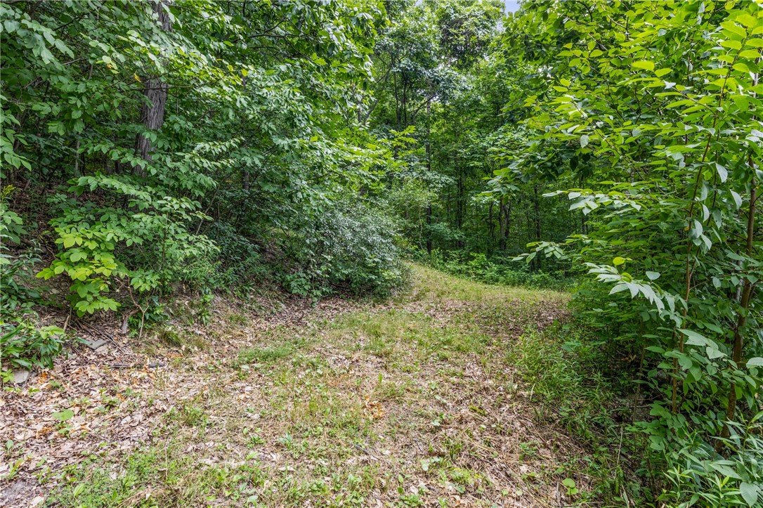Dug Road Naples, NY 14512 - Photo 15 of 17
