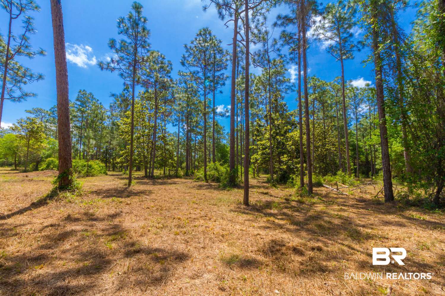 8844 Red Fish Pt Road Lillian, AL 36549 - Photo 4 of 16 Gallery Image 4