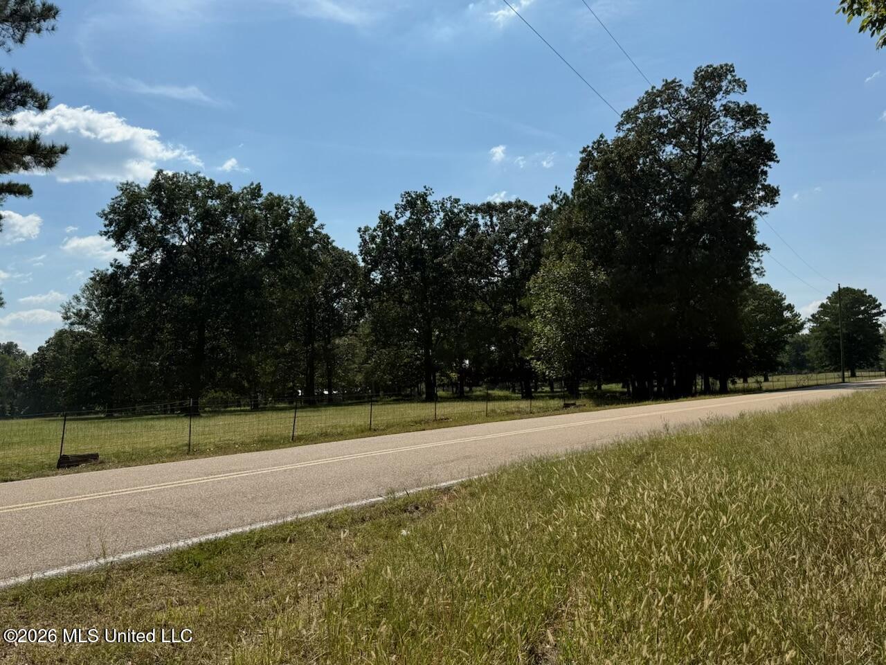 Jims Road Lena, MS 39094 - Photo 2 of 3 Jims Rd 2