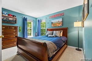 3898 Fritz Road Wheatfield, NY 14120 - Photo 38 of 50