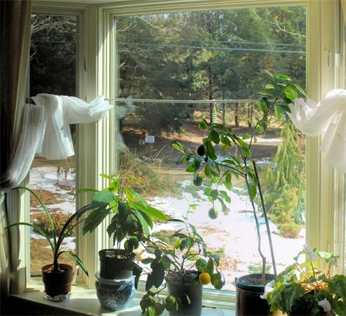 10 Boyden Road Pelham, MA 01002 - Photo 8 of 23