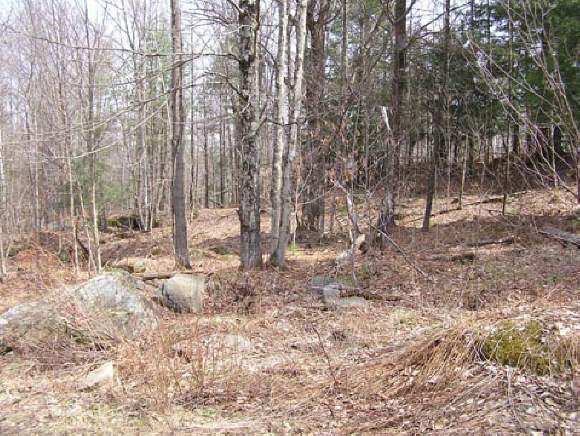 0 Wimble Road Cambridge, VT 05494 - Photo 1 of 1 Gallery Image 1