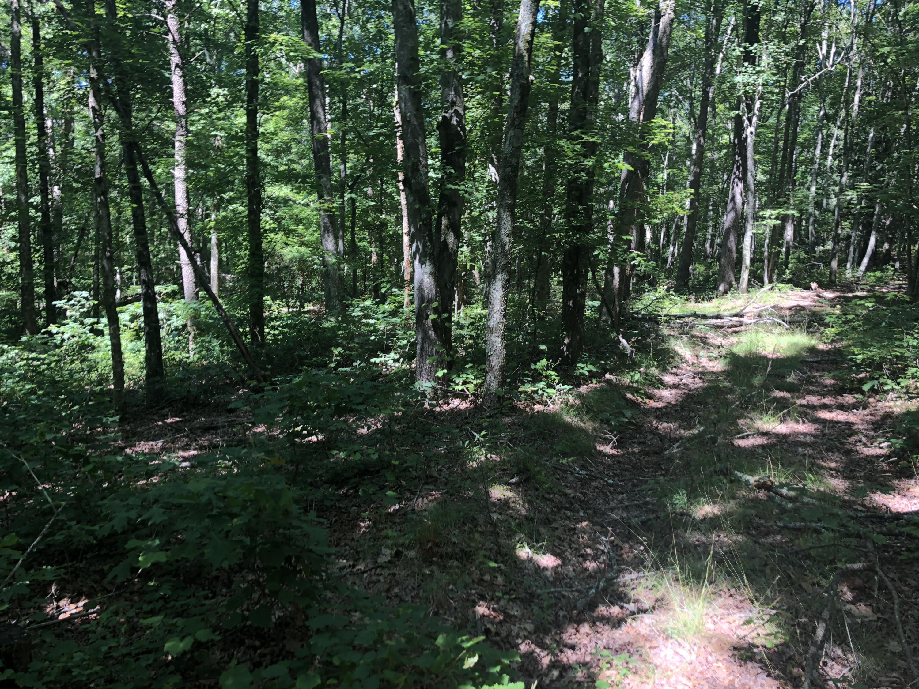 9713 Reynolds Road Soddy Daisy, TN 37379 - Photo 16 of 17 IMG_2280