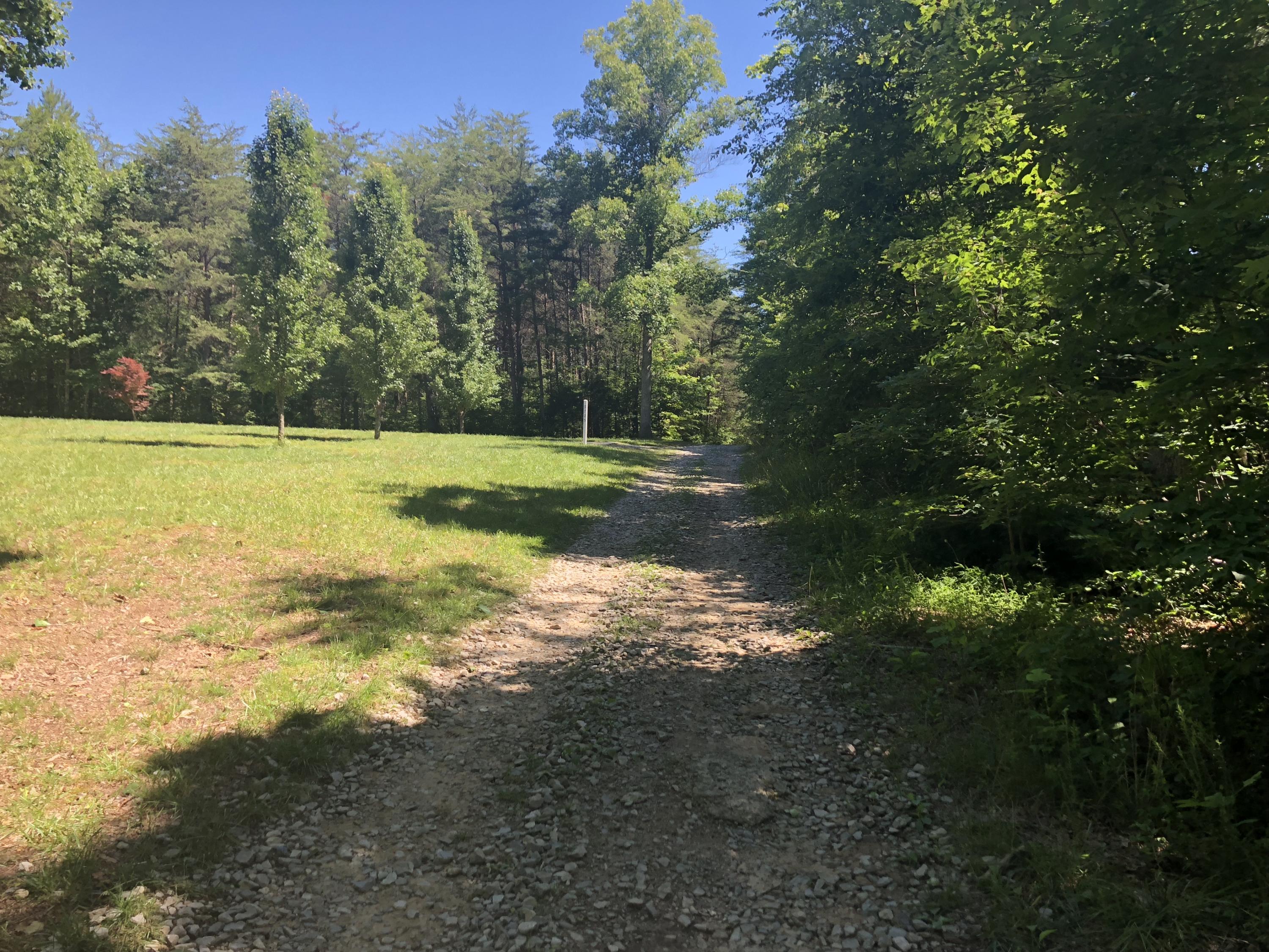 9713 Reynolds Road Soddy Daisy, TN 37379 - Photo 5 of 17 IMG_2269