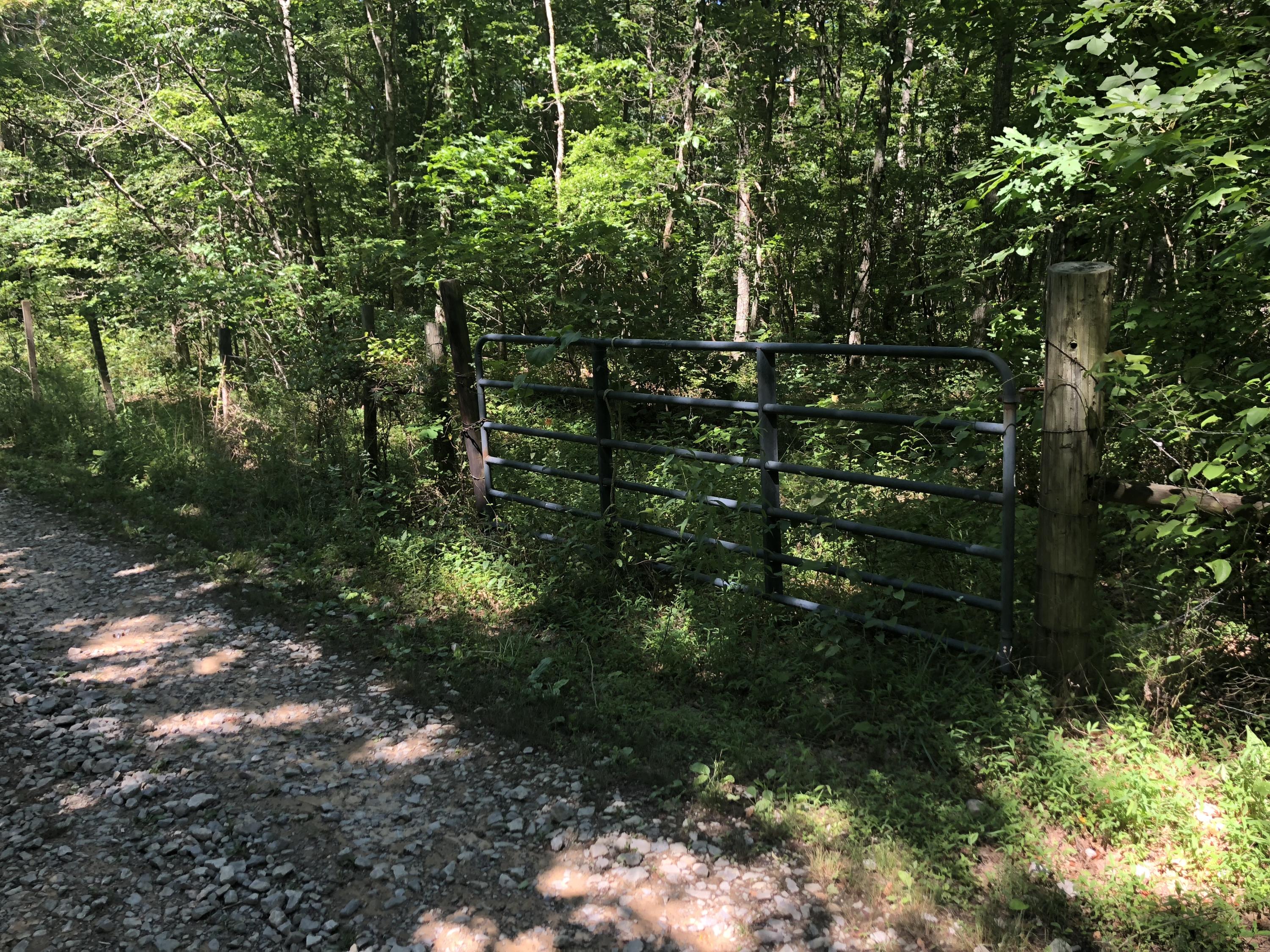 9713 Reynolds Road Soddy Daisy, TN 37379 - Photo 6 of 17 IMG_2270