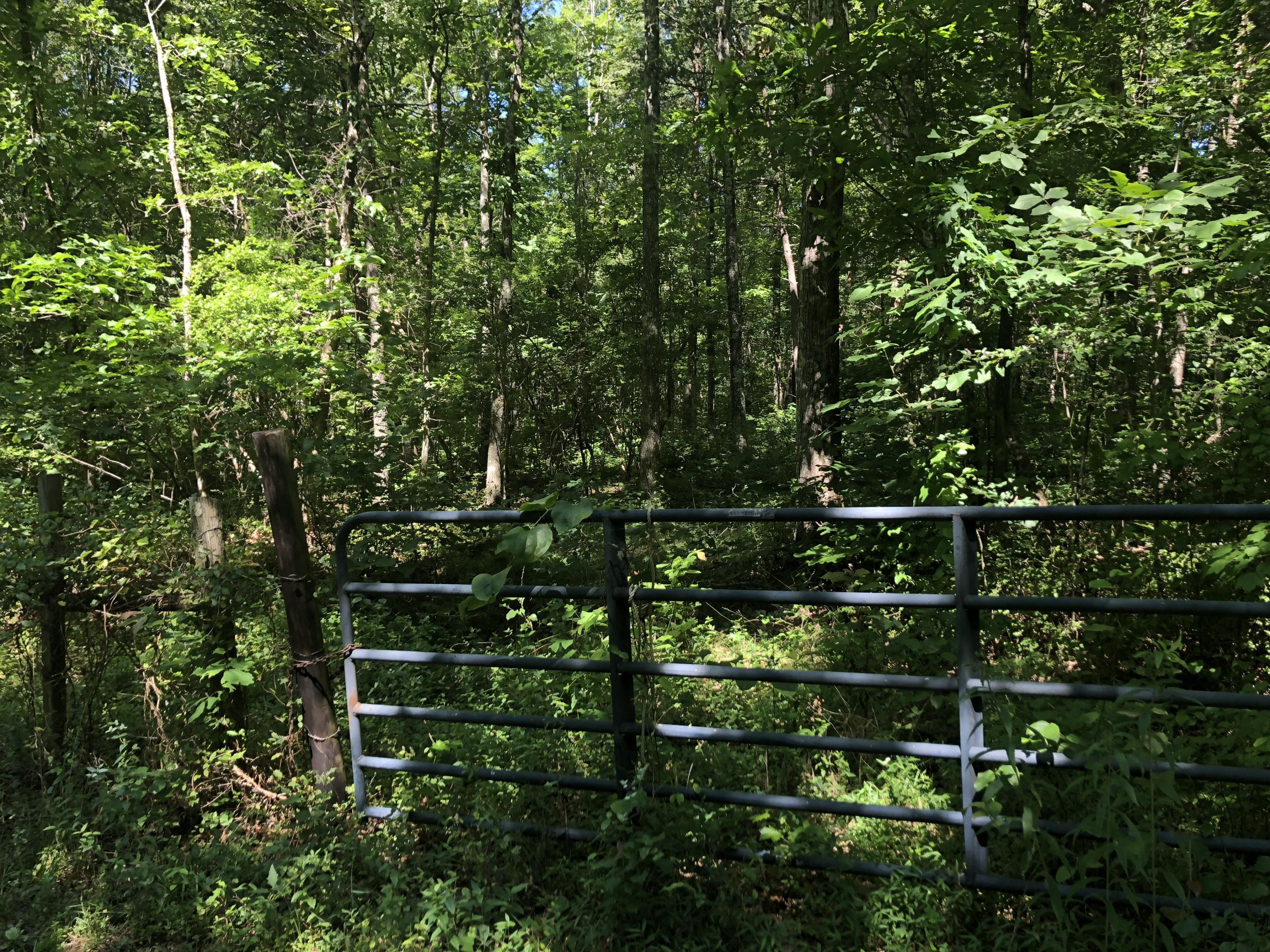 9713 Reynolds Road Soddy Daisy, TN 37379 - Photo 7 of 17 IMG_2271