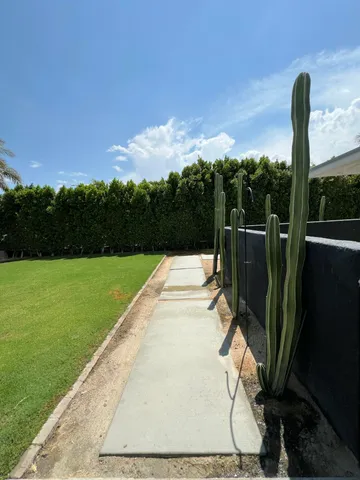 a view of a park with large trees