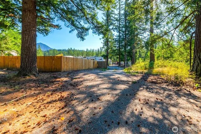 a view of a yard with plants and large trees