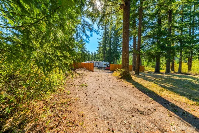 a view of a park with large trees
