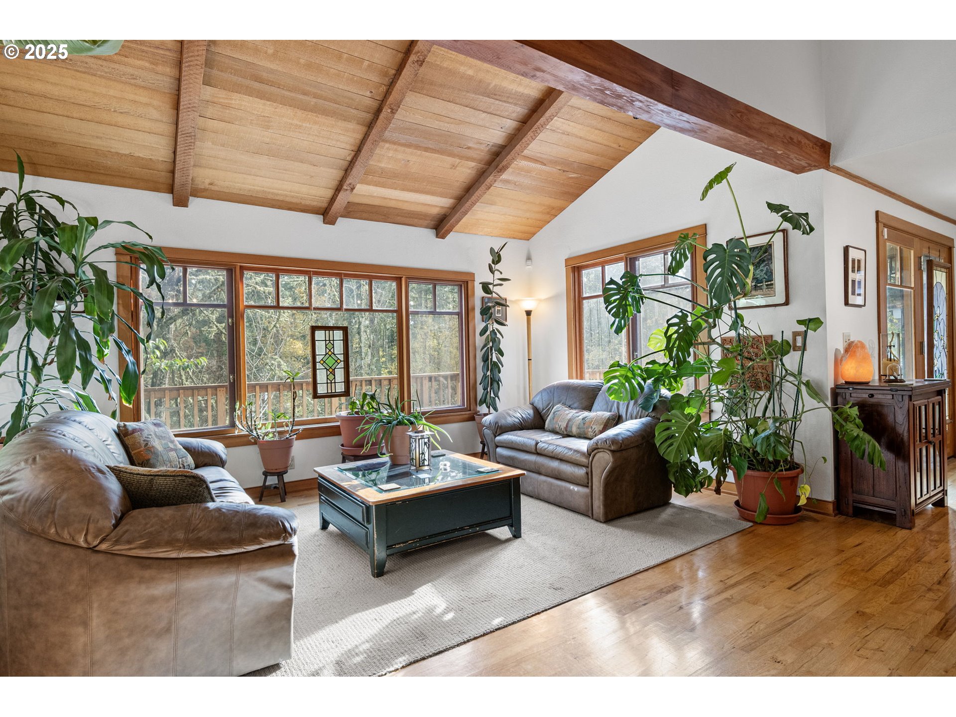 1867 Fircrest Drive Eugene, OR 97403 - Photo 8 of 48 a living room with furniture potted plant floor to ceiling windows and a flat screen tv