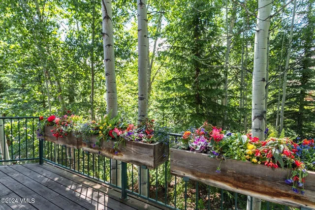 $15,884,000 | 59 Borders Road, Beaver Creek, CO 81620