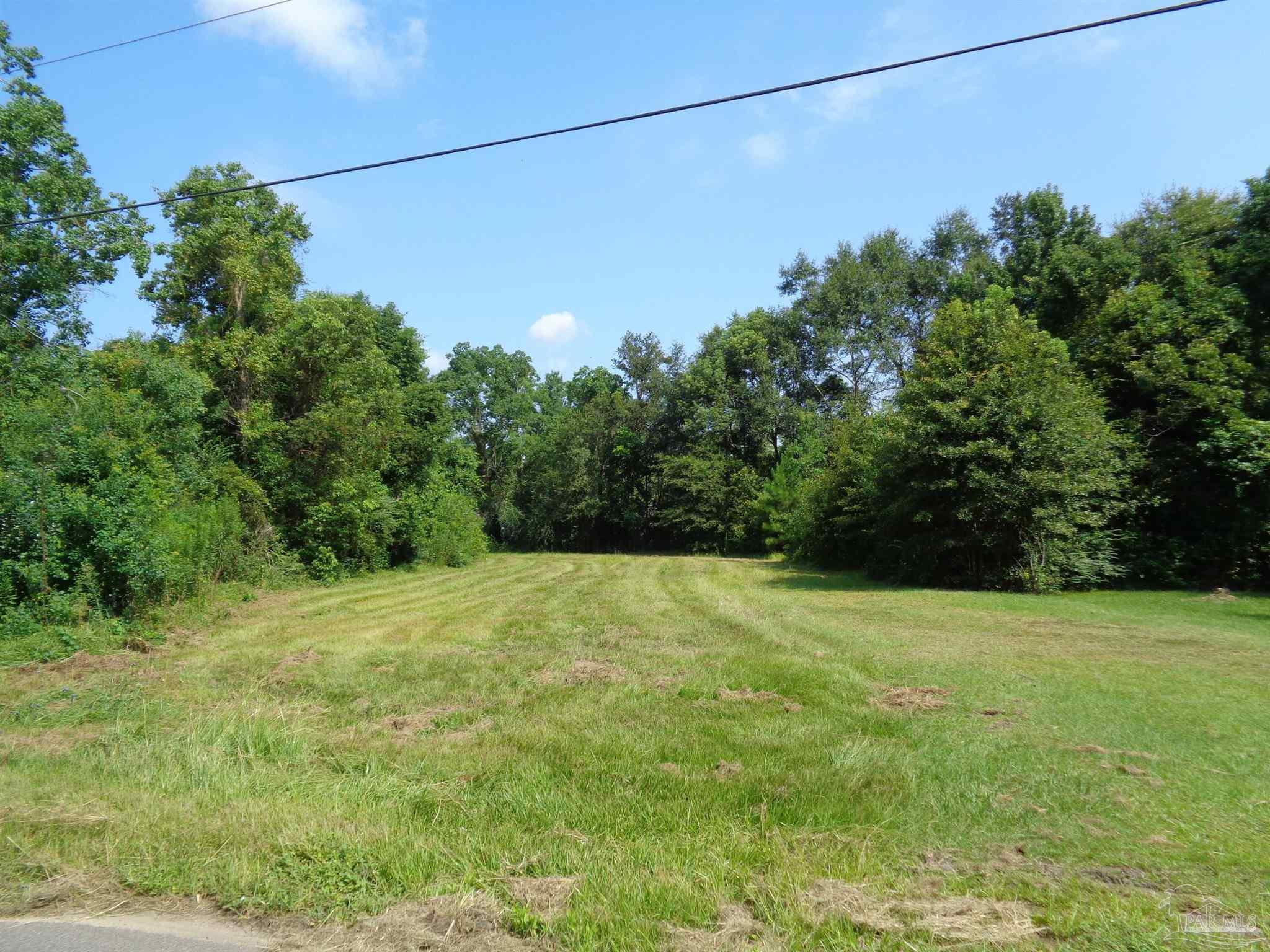 0 Short Street Atmore, AL 36502 - Photo 3 of 4 Gallery Image 3
