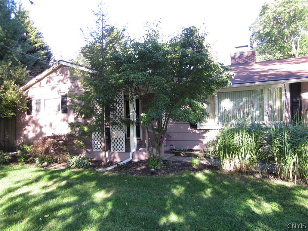 Summer Scene - Perennials provide shade and privac