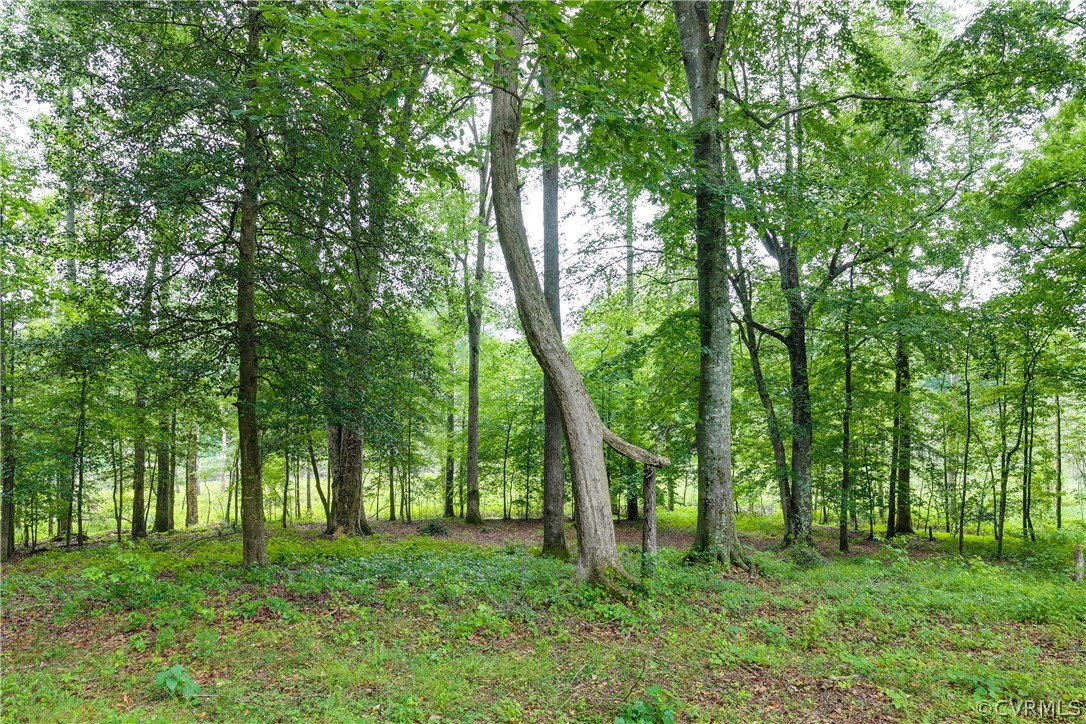 4107 Old Nottingham Road Quinton, VA 23141 - Photo 24 of 25 Gallery Image 24