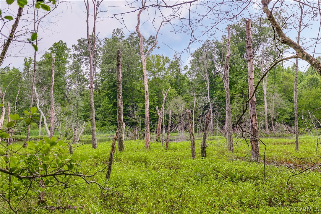 4107 Old Nottingham Road Quinton, VA 23141 - Photo 25 of 25 Gallery Image 25
