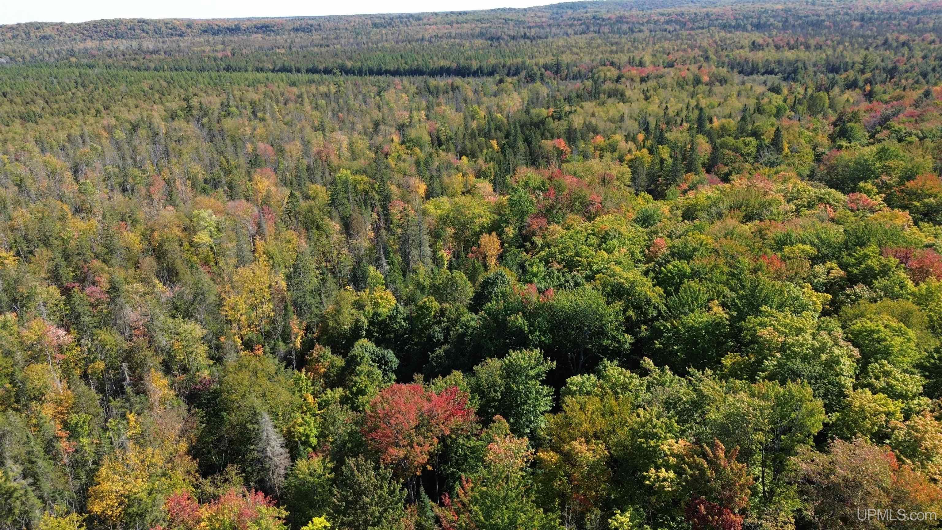 Off Usfs Trail, Unit 2440 Wetmore, MI 49895 - Photo 27 of 34