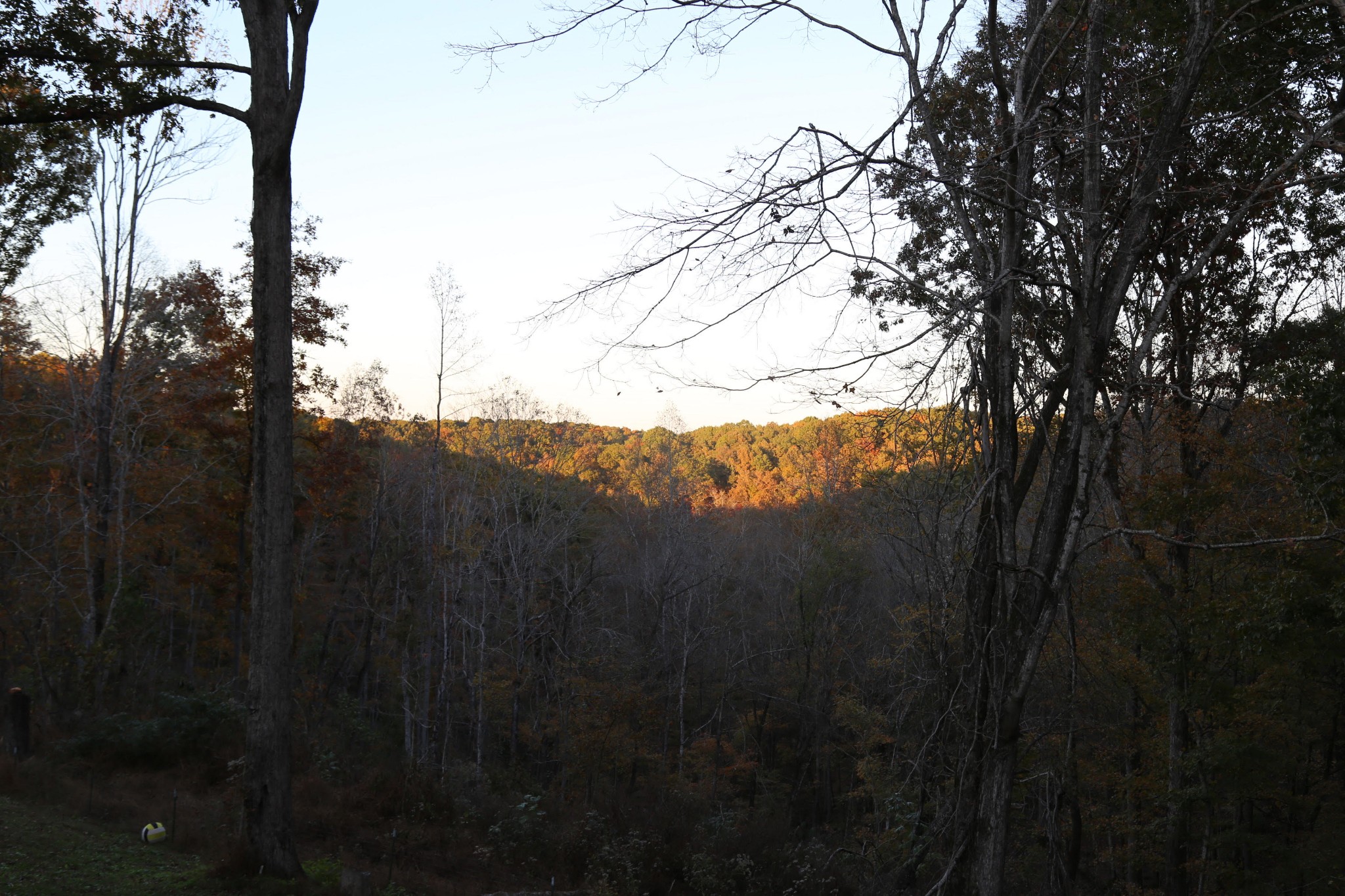 1404 Primm Road Ashland City, TN 37015 - Photo 10 of 51 Gallery Image 10