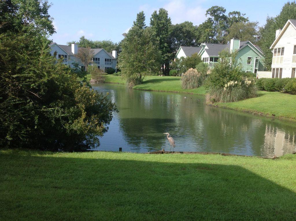 6275 Rolling Fork Road, Unit B North Charleston, SC 29406 - Photo 18 of 20 ISi3m6oolqa52n1000000000