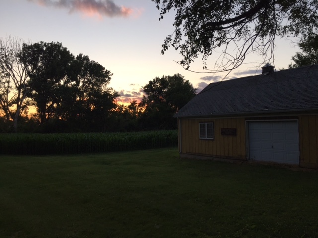 1354 Sublette Road Sublette, IL 61367 - Photo 3 of 5 a backyard of a house with lots of green space