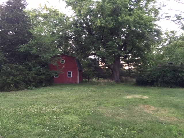 1354 Sublette Road Sublette, IL 61367 - Photo 4 of 5 a view of a tree in a yard