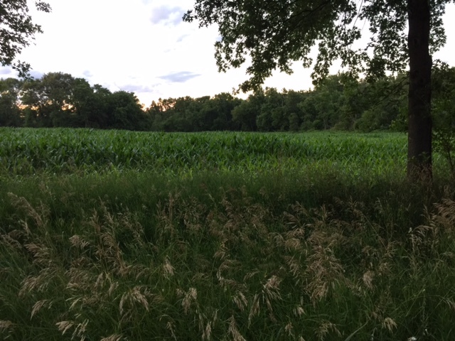 1354 Sublette Road Sublette, IL 61367 - Photo 5 of 5 a view of a backyard