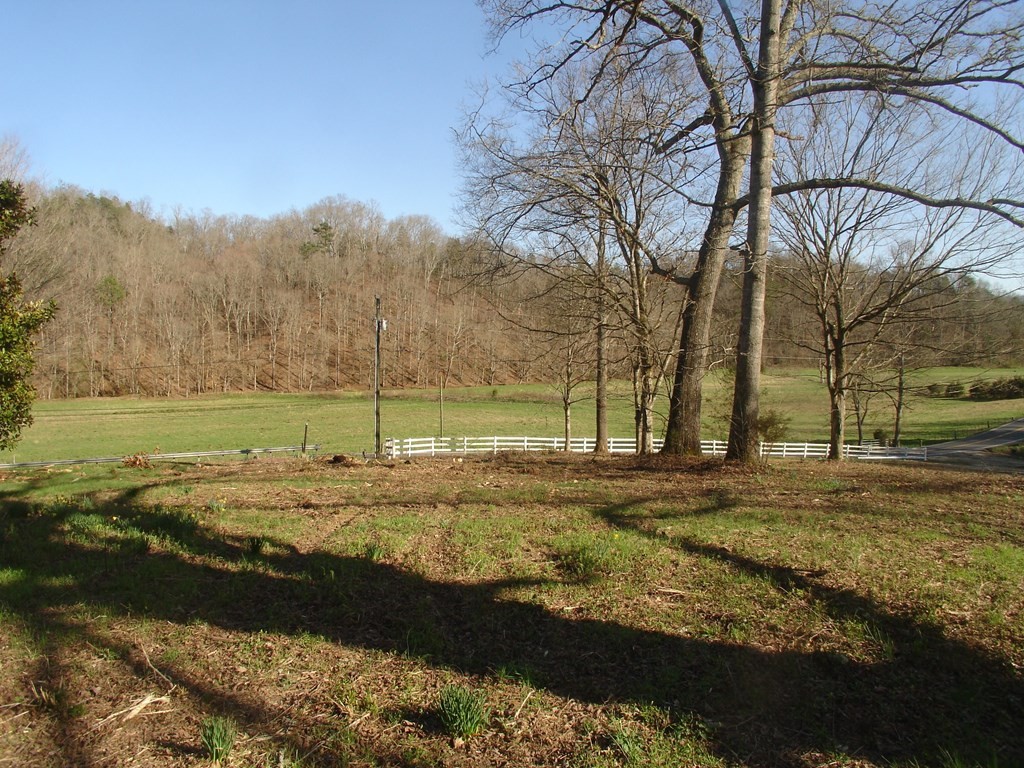 Gallery Image 7