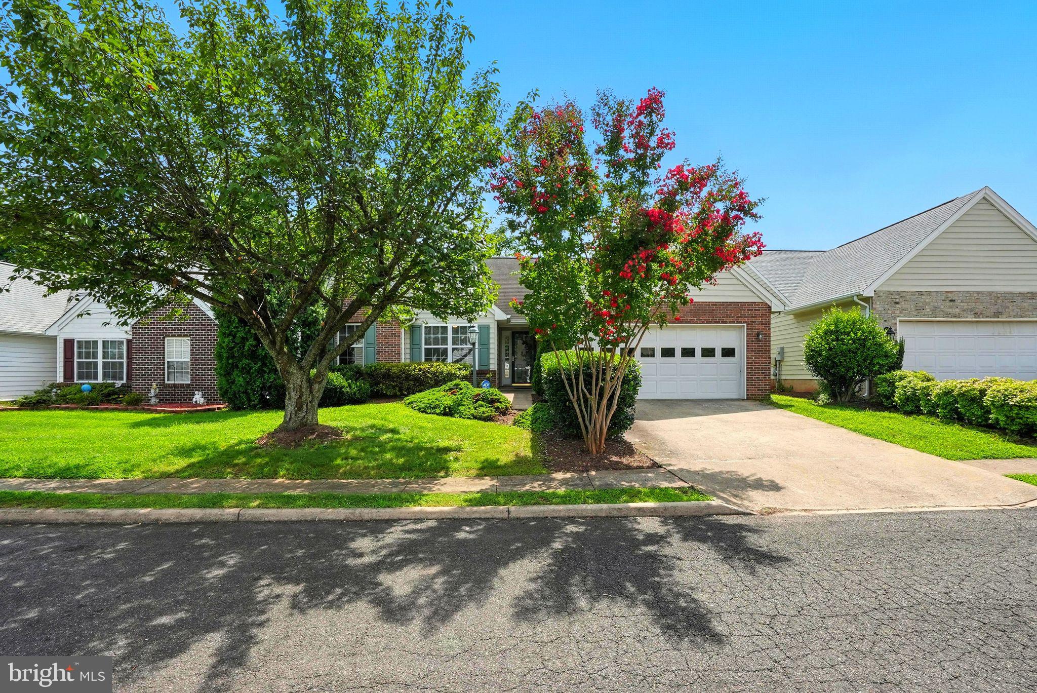 808 Ripplebrook Drive Culpeper, VA 22701 - Photo 1 of 48 a flower garden is sitting in front of a house