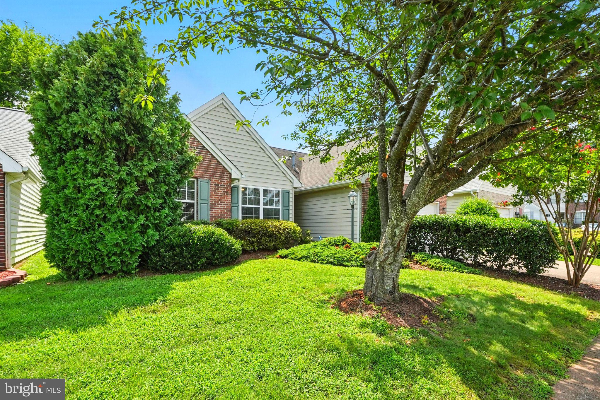 808 Ripplebrook Drive Culpeper, VA 22701 - Photo 3 of 48 a view of a house with backyard and a tree