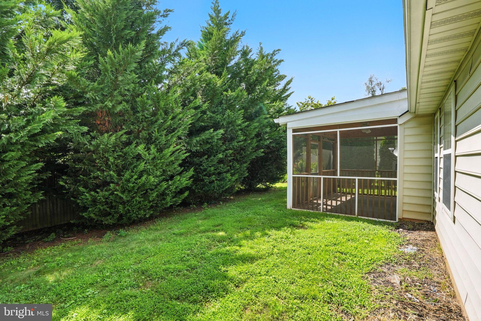 808 Ripplebrook Drive Culpeper, VA 22701 - Photo 46 of 48 a view of a backyard with a large tree