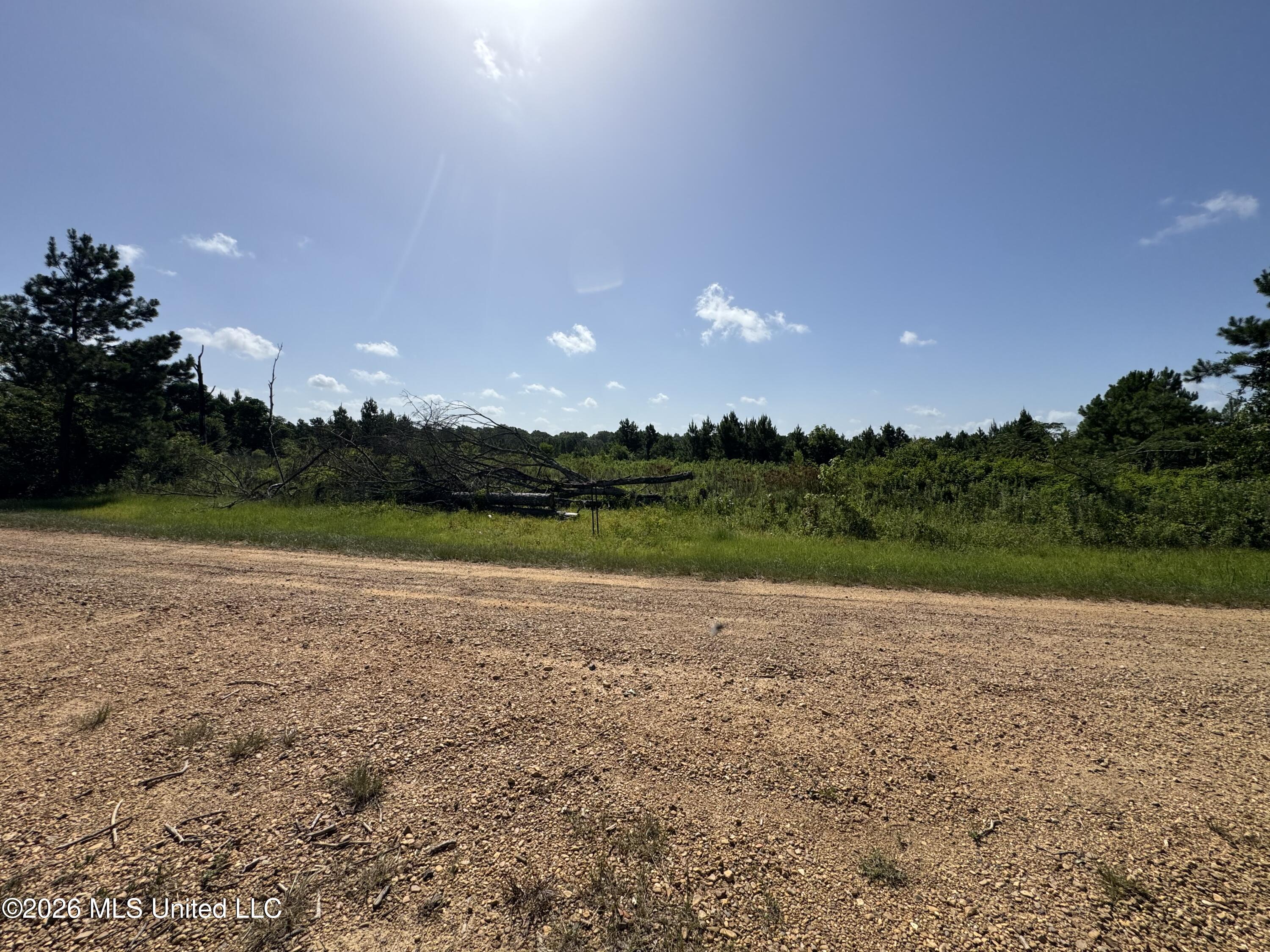 32 A Sauls Road Ruth, MS 39662 - Photo 1 of 22 Land-for-sale-Ruth-MS (5)