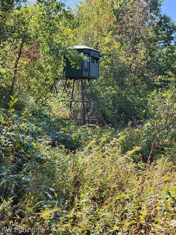 8060 Brockway Road Melvin, MI 48454 - Photo 29 of 39