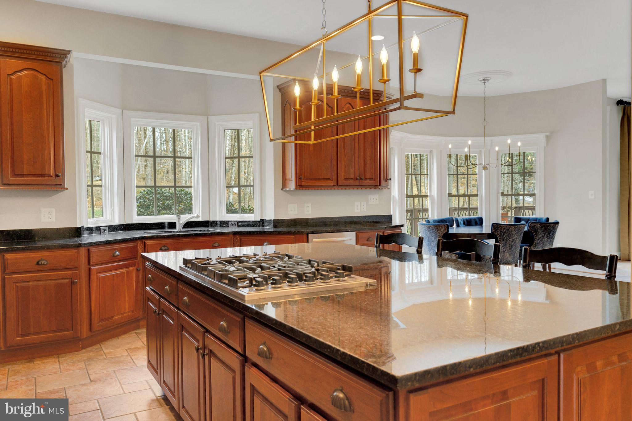 10420 Adel Road Oakton, VA 22124 - Photo 12 of 57 Gallery Image 12