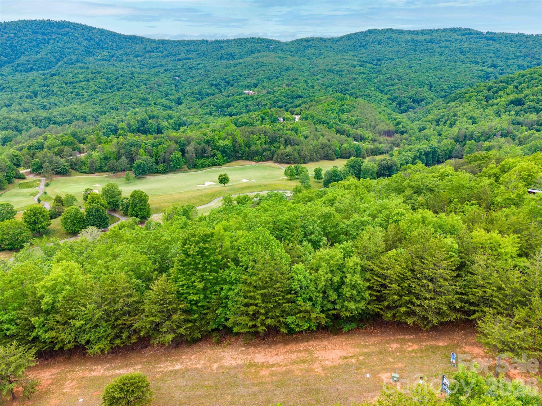 38 West Deep Gap Farm Road, Unit 38 Mill Spring, NC 28756 - Photo 12 of 20 a view of a green yard