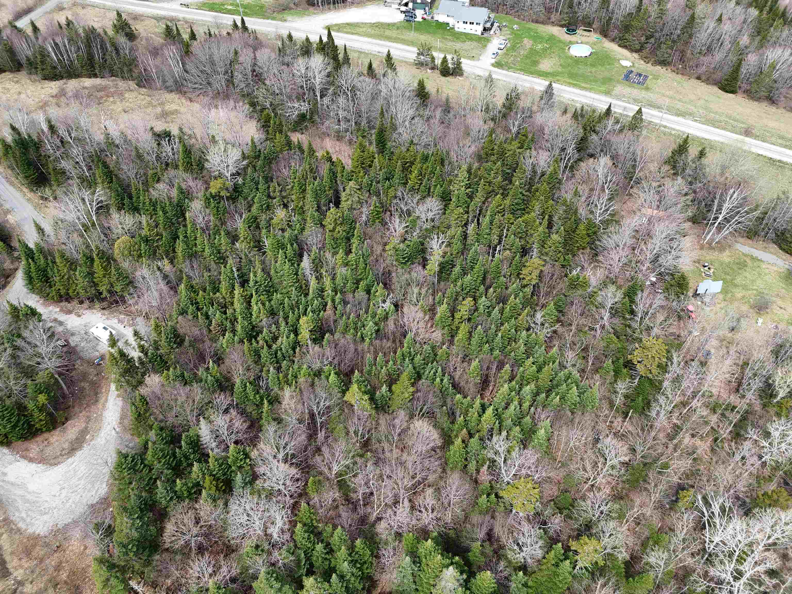 980 Coles Road Westmore, VT 05860 - Photo 12 of 12