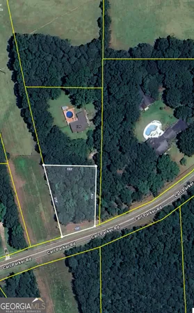 $35,000 | 0 Freeman Road, Hampton, GA 30228